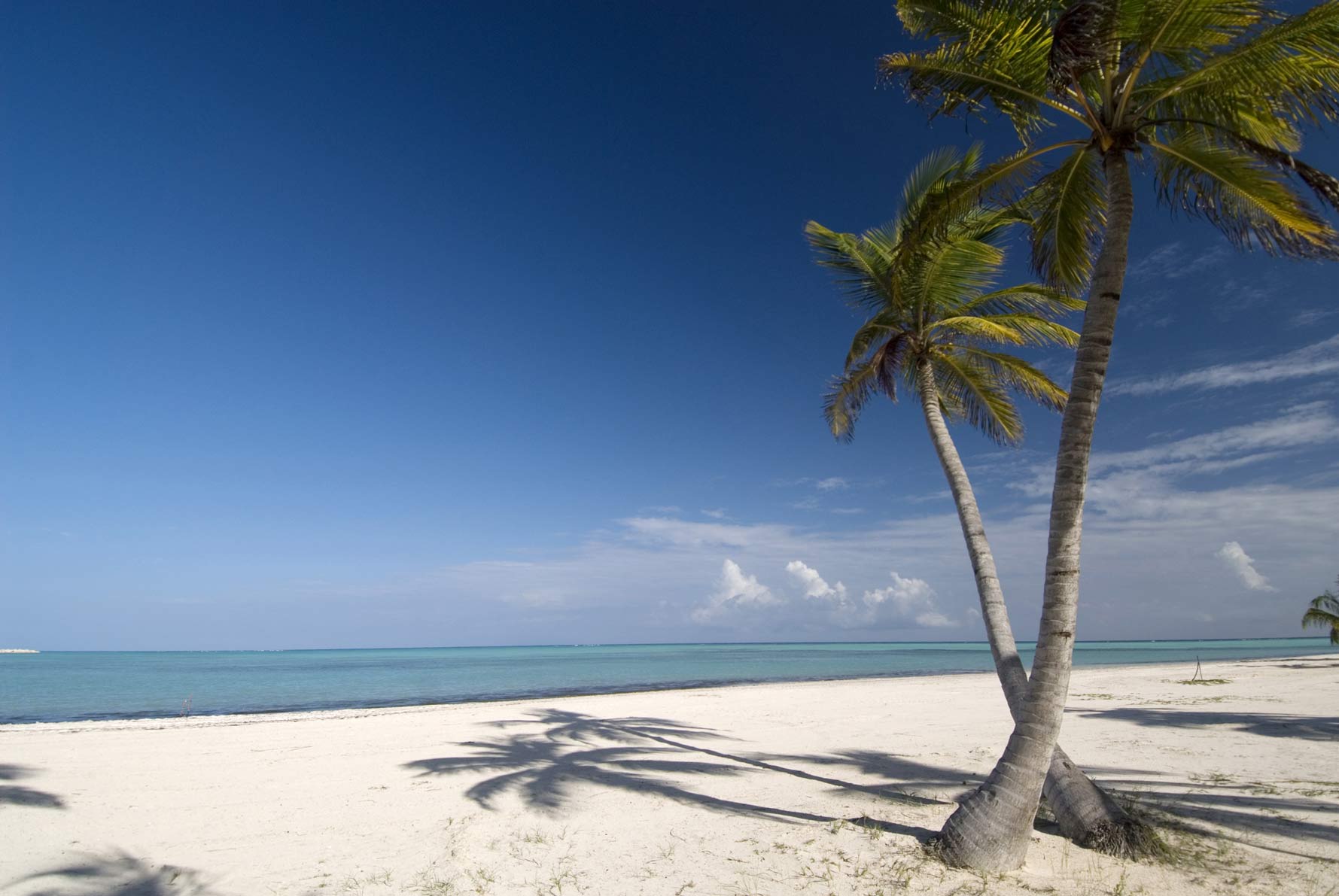 Punta cana